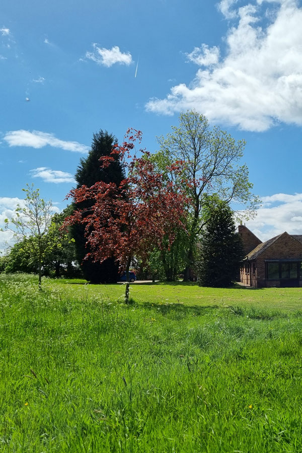 Grounds-3