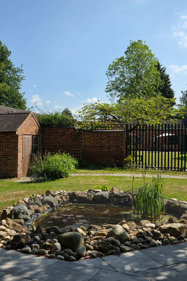 Wildlife-pond wildlife pond surround by rocks in the secure garden